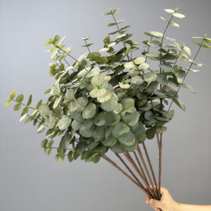 80cm 11-Branched Artificial Eucalyptus Greenery