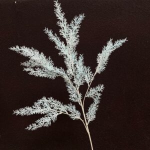 90cm 4-Branched Artificial Greenery Small Pine Sprigs & Misty Grass - Image 3