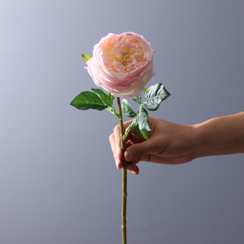 45cm Bloom Diameter 7cm Real Touch Artificial Austin Rose Flower