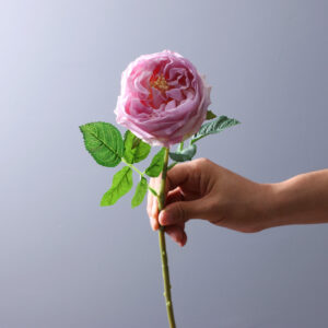 45cm Bloom Diameter 7cm Real Touch Artificial Austin Rose Flower - Image 6