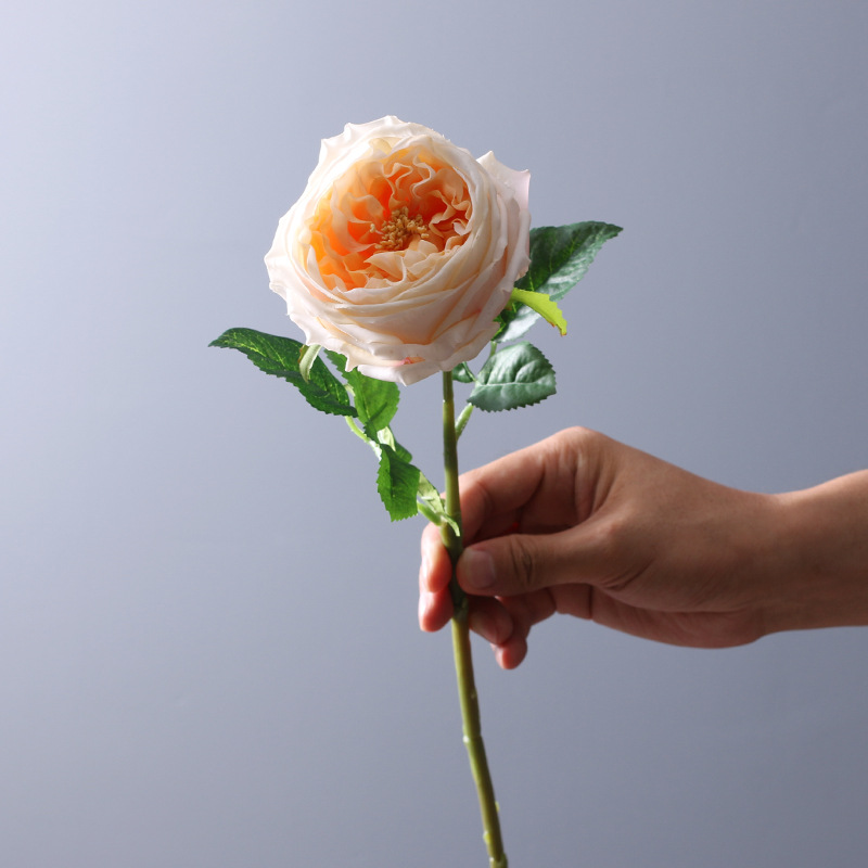 45cm Bloom Diameter 7cm Real Touch Artificial Austin Rose Flower