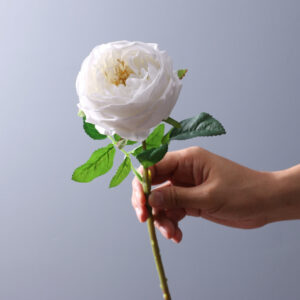 45cm Bloom Diameter 7cm Real Touch Artificial Austin Rose Flower - Image 3