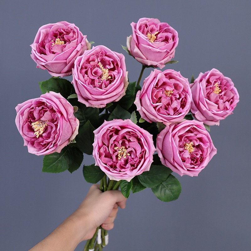 45cm Bloom Diameter 7cm Real Touch Artificial Austin Rose Flower