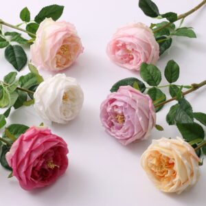 45cm Bloom Diameter 7cm Real Touch Artificial Austin Rose Flower