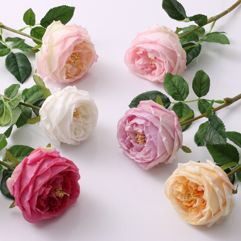 45cm Bloom Diameter 7cm Real Touch Artificial Austin Rose Flower