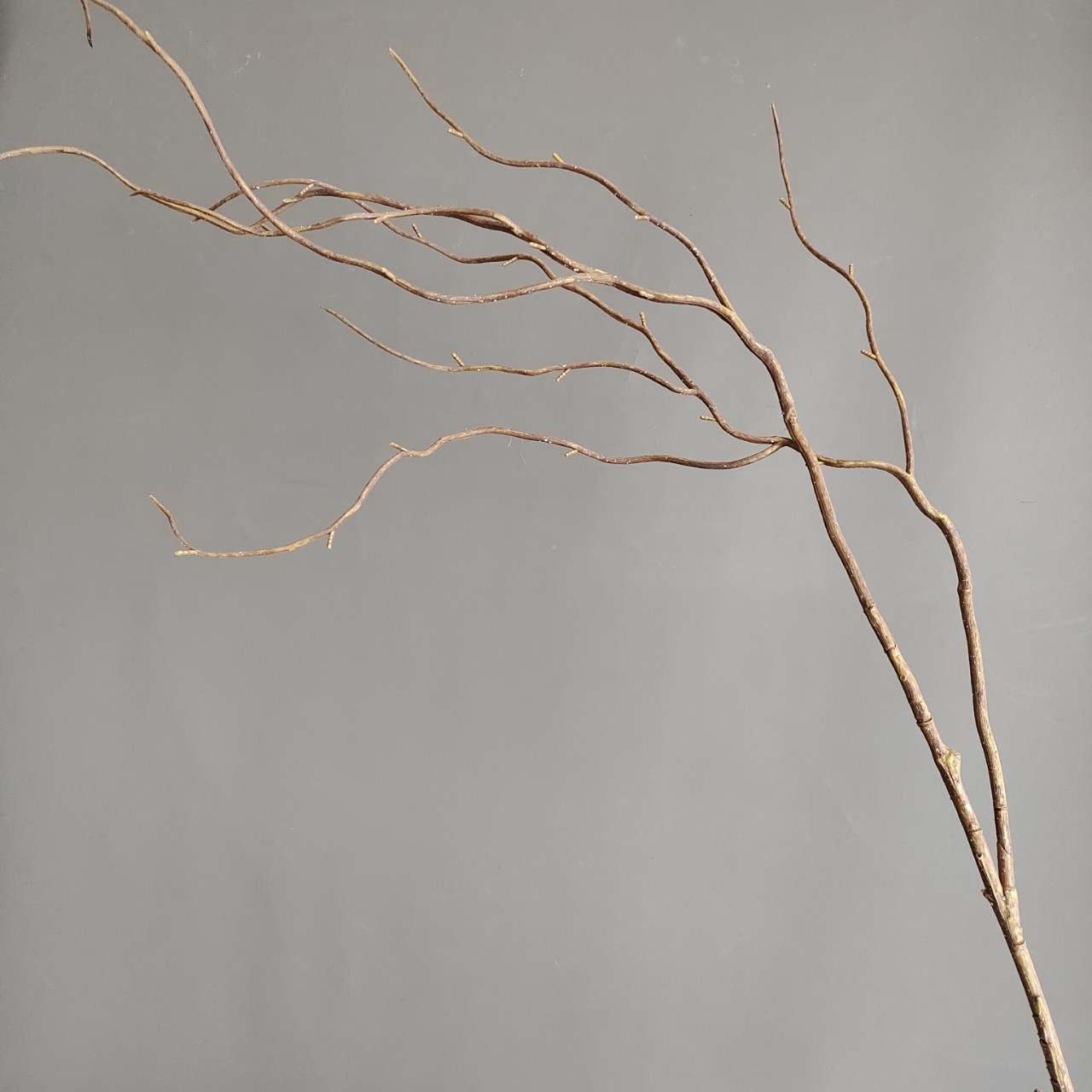 93cm 2-Branched Artificial Dragon Willow Branches - Image 2