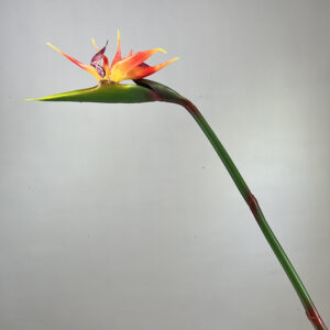 85cm Artificial Soft Rubber Real Touch Bird of Paradise Strelitzia Reginae Flower - Image 6