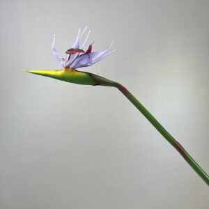 85cm Artificial Soft Rubber Real Touch Bird of Paradise Strelitzia Reginae Flower - Image 5