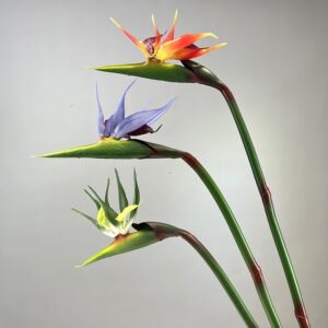 85cm Artificial Soft Rubber Real Touch Bird of Paradise Strelitzia Reginae Flower