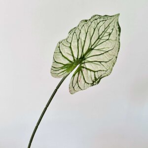 68cm 3D Printed Alocasia Leaves & Colored Taro Leaves Artificial Green Plants - Image 6