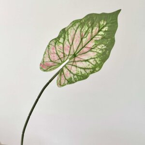 68cm 3D Printed Alocasia Leaves & Colored Taro Leaves Artificial Green Plants - Image 7
