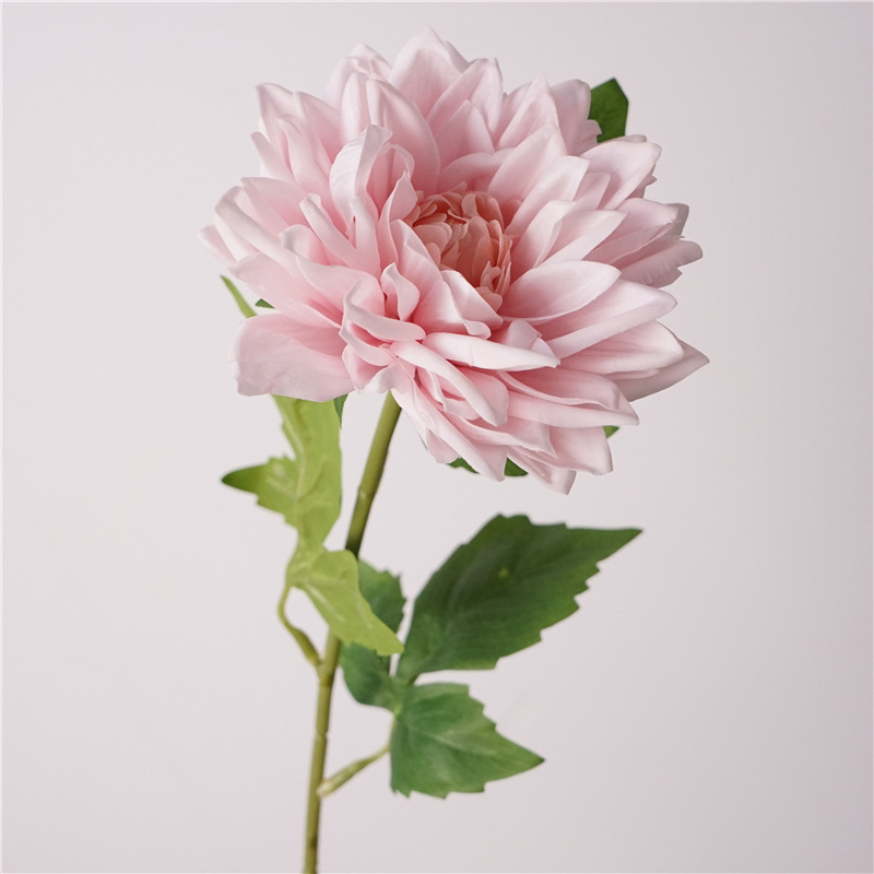 53cm Real Touch Artificial Dahlia Flower
