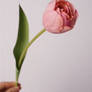 45cm Silk Artificial Tulip Flower - Image 5