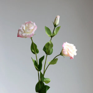 3 Heads 75cm Real Touch Artificial Eustoma - Image 6