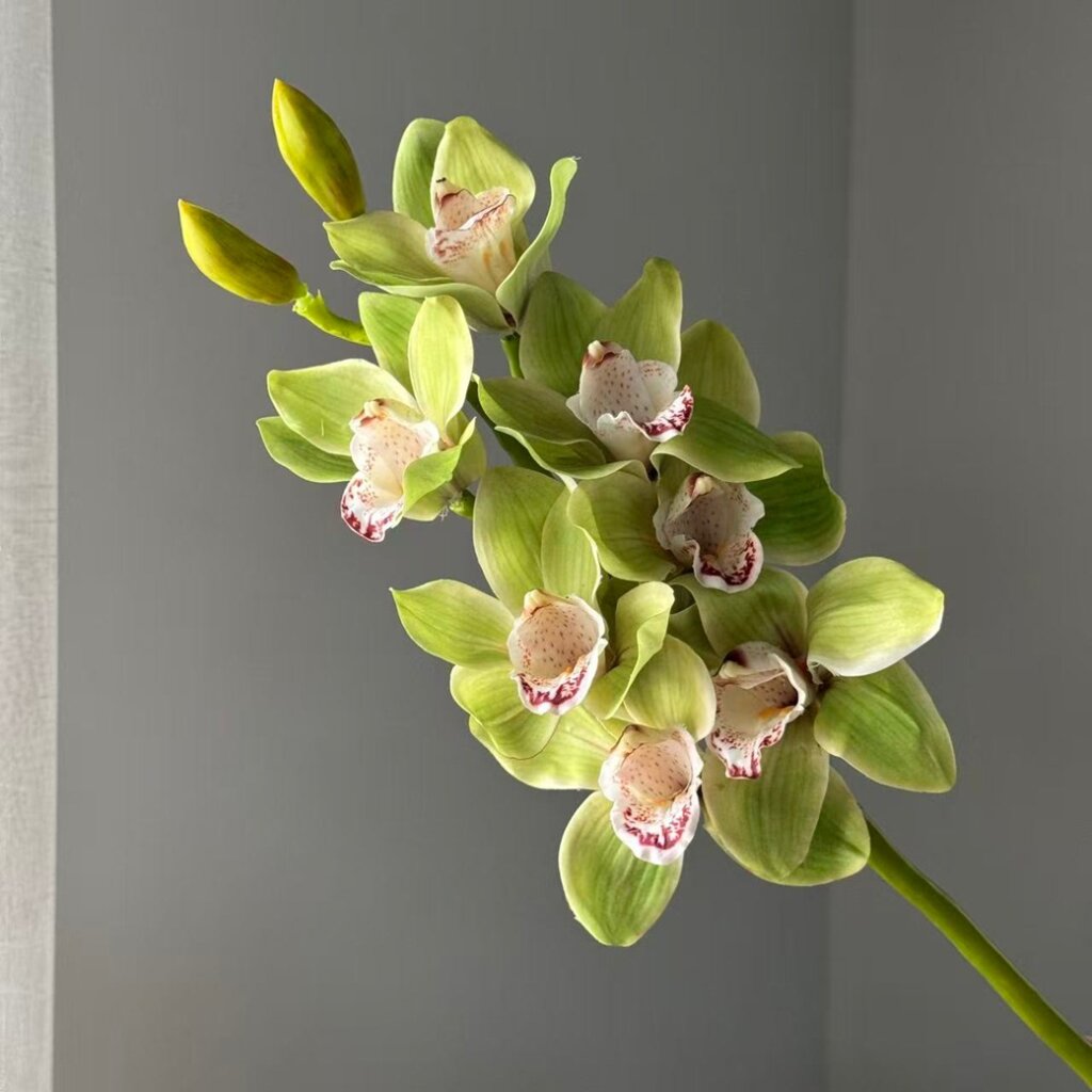70cm 7-Head Luxurious Real Touch Cymbidium Artificial Flowers