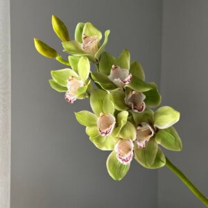 70cm 7-Head Luxurious Real Touch Cymbidium Artificial Flowers - Image 5