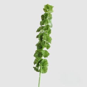 67cm Artificial Bells of Ireland Stem - Image 2