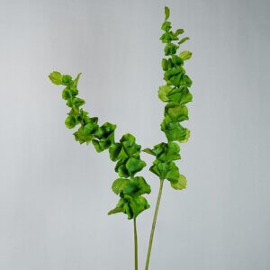 92cm Green Real Touch Artificial Bells of Ireland Stem