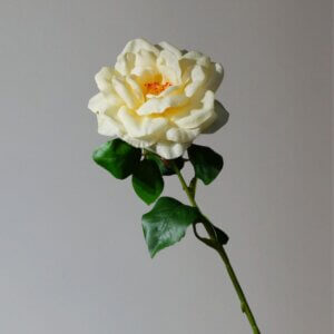 60cm Soft Rubber Real Touch Artificial Rose - Image 6