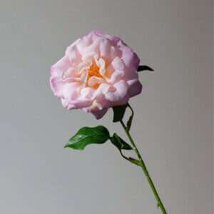 60cm Soft Rubber Real Touch Artificial Rose - Image 7