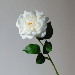 60cm Soft Rubber Real Touch Artificial Rose - Image 3