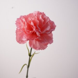 50cm Real Touch Artificial Carnation Flower - Image 5