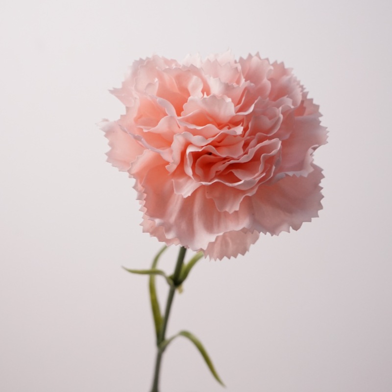 50cm Real Touch Artificial Carnation Flower